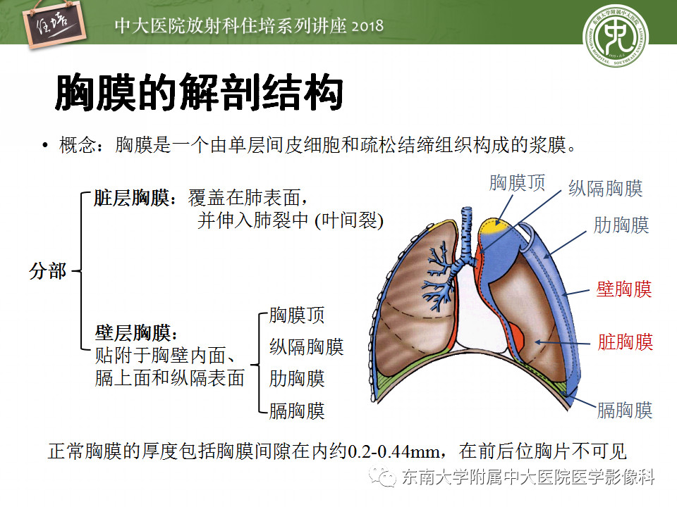 b56b53e47abfa40ccf50af1b10c55354.jpg