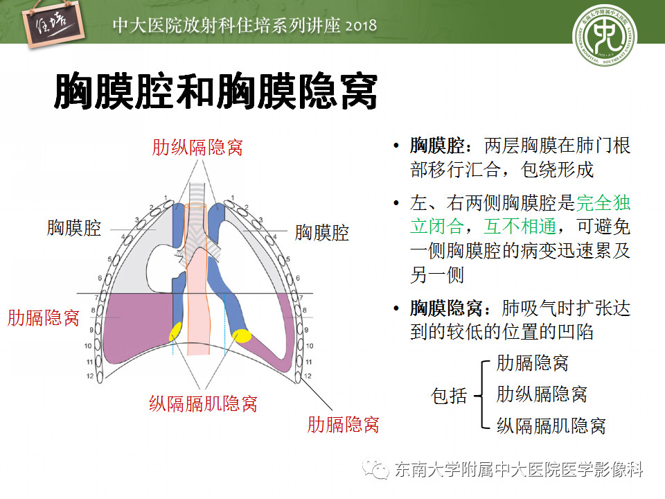 e35a4d7acc51bee219549071b5087509.jpg