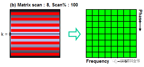 qw6.jpg