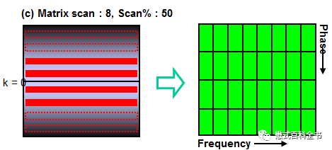 qw7.jpg