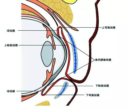 16a64b1efe91e83af41f0268004e46e9.jpg