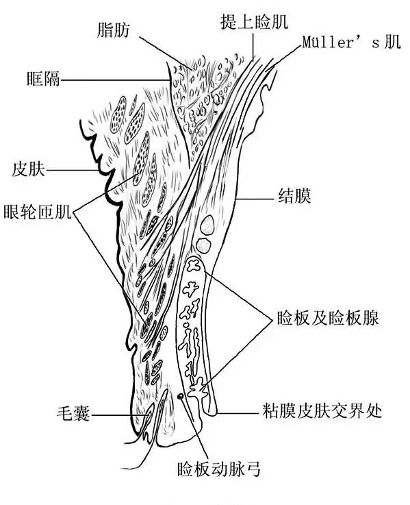 0bb2d188b5abcada8803273cd732a8c8.jpg