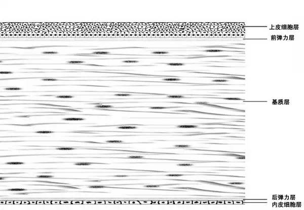 8f8ec8a285c58a82eec903a3bf9e4cc8.jpg