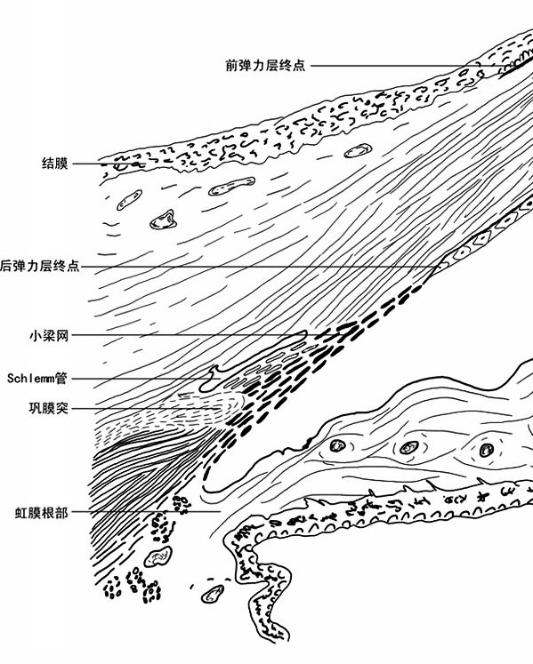33bc03acff0d7b561cb61845153d9b54.jpg