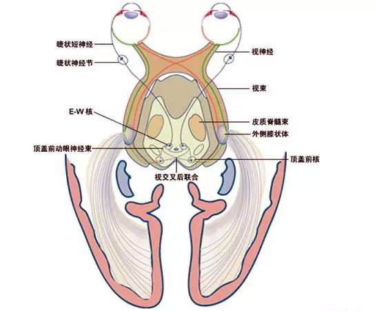 7c186fd846adf670d36d2121900cd357.jpg