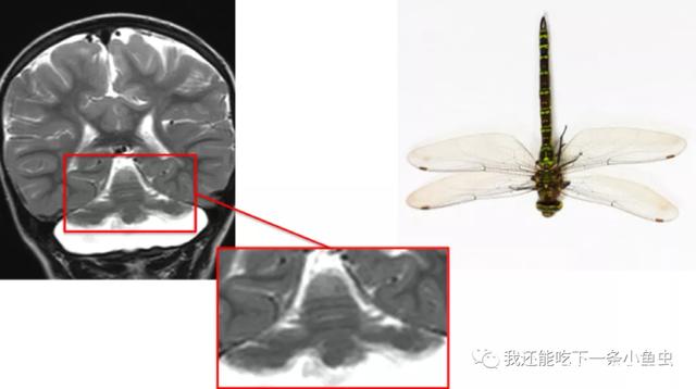 a71ea8d3fd1f41342ec6a521504964ccd0c85e5d.jpg