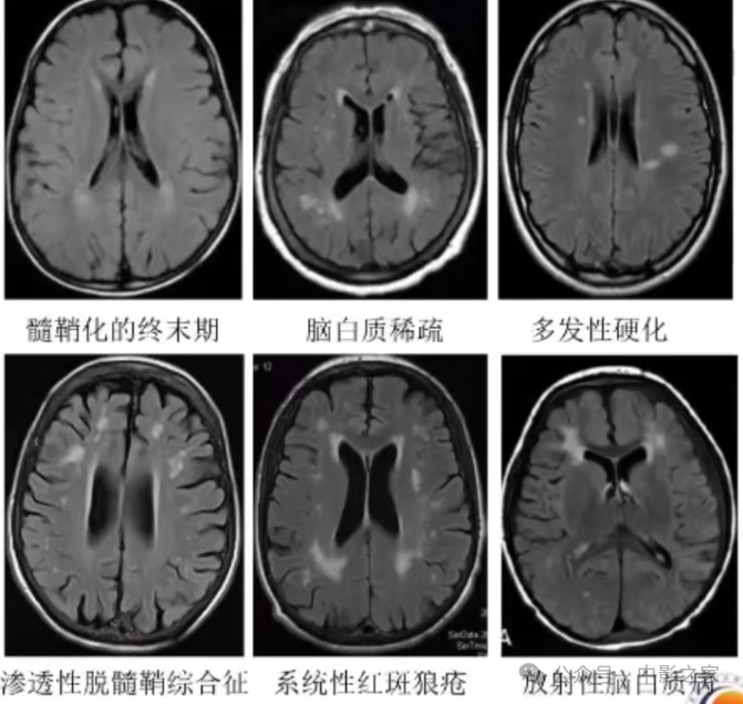 bfc945e8d7d45c4c186d3c756d566fc7.png