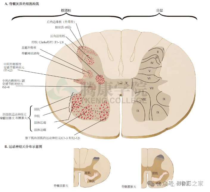 325c2a3cc7562c3befd5700075ceff17.png