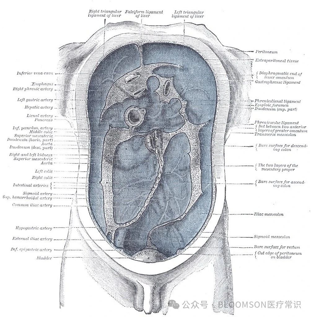 359a929c57b102228b418fda83824066.jpg