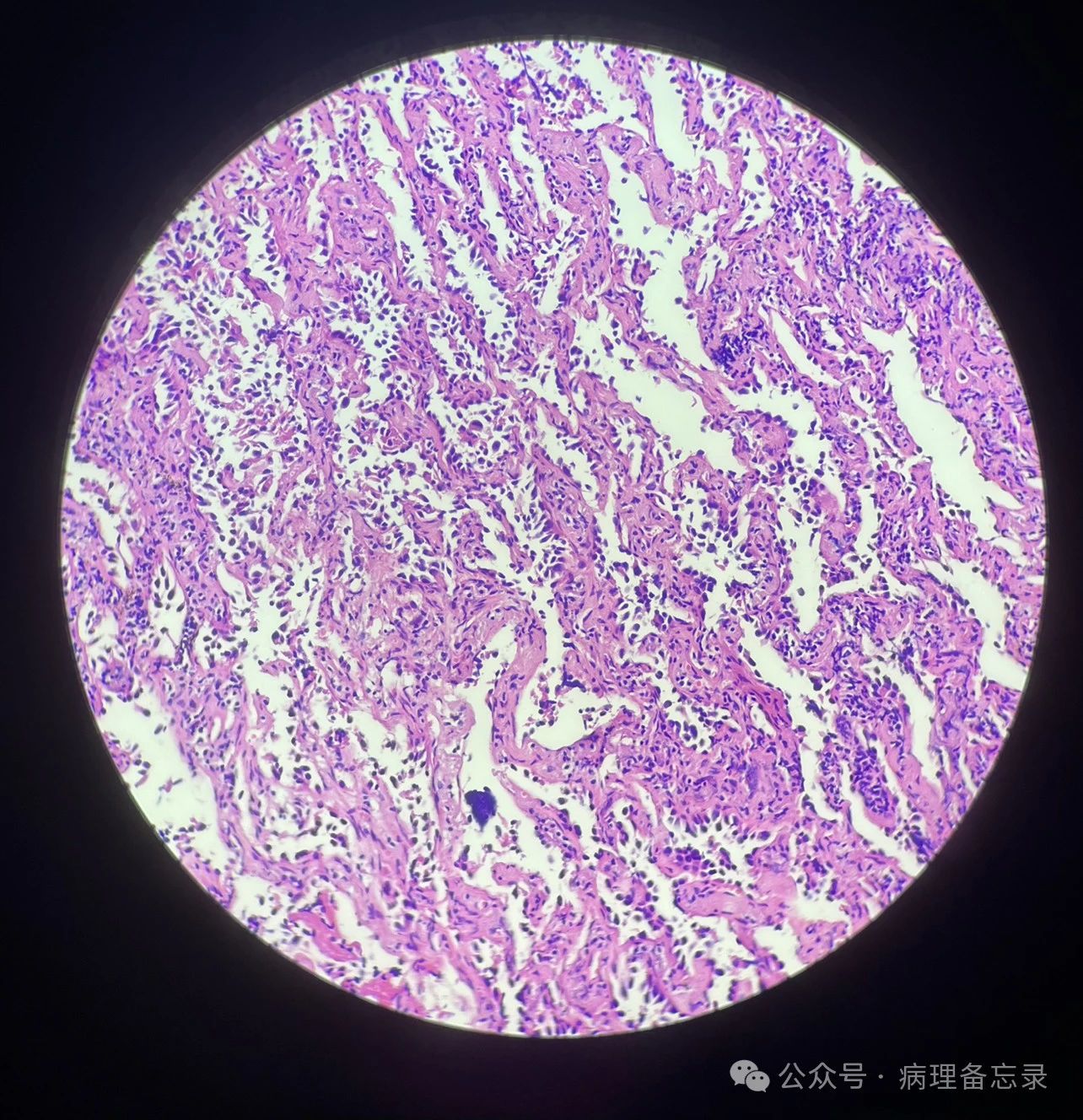 804c7b50630fc16821352f743408e4e1.jpg