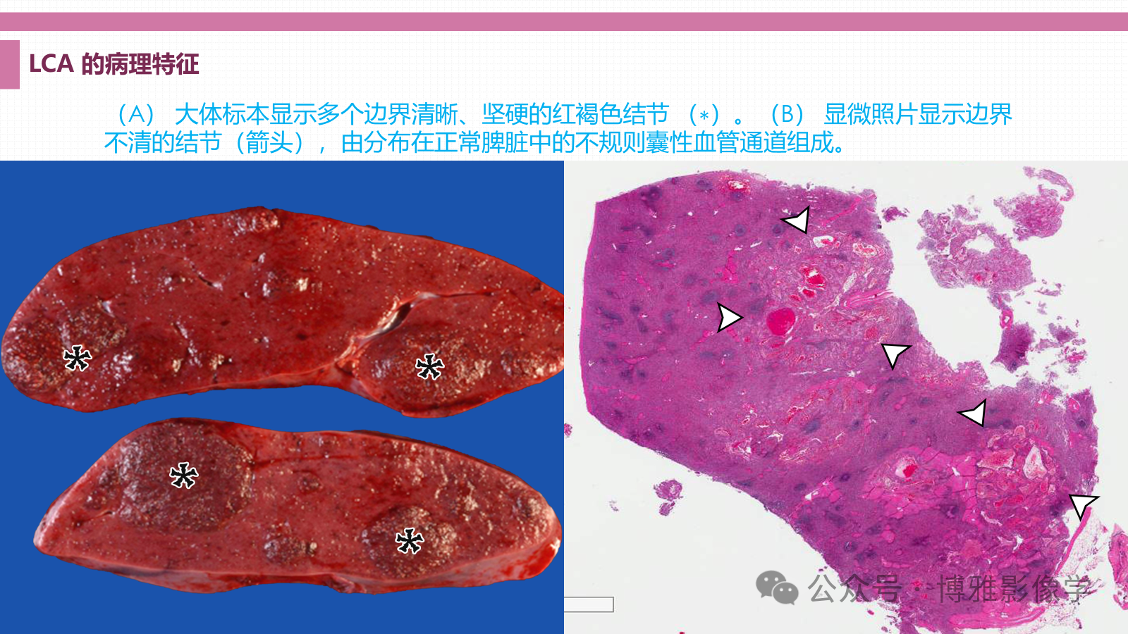fc396996a31fa6d94563cb6420c28d12.png