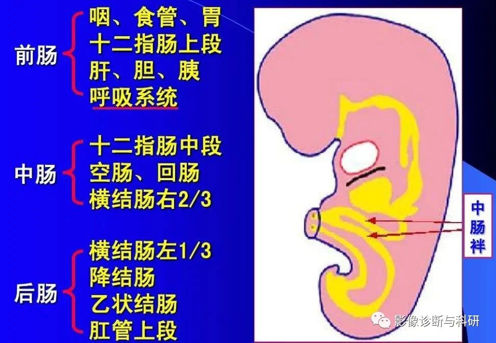 3442f47bdc991bf3880955082aaf8657.jpg