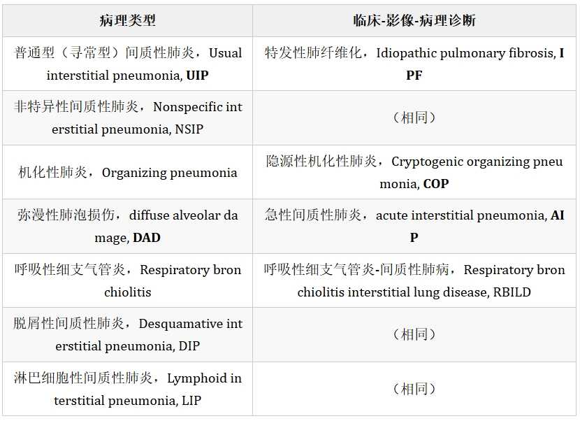 间质性肺疾病.jpg