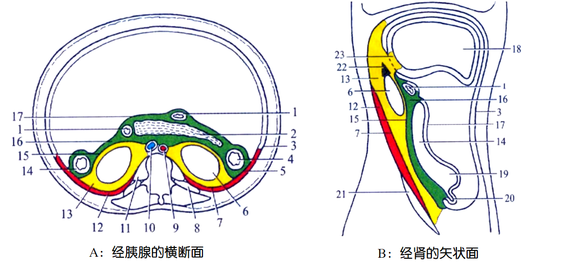 eae492ddcb298dc49b01878841875622.png